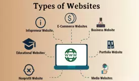 Popular website types